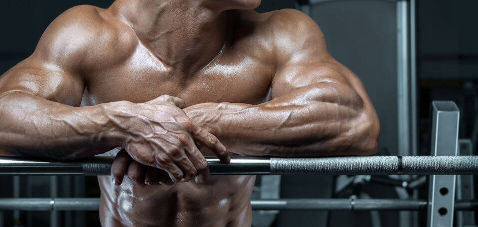 Do Legal Steroids Really Work?